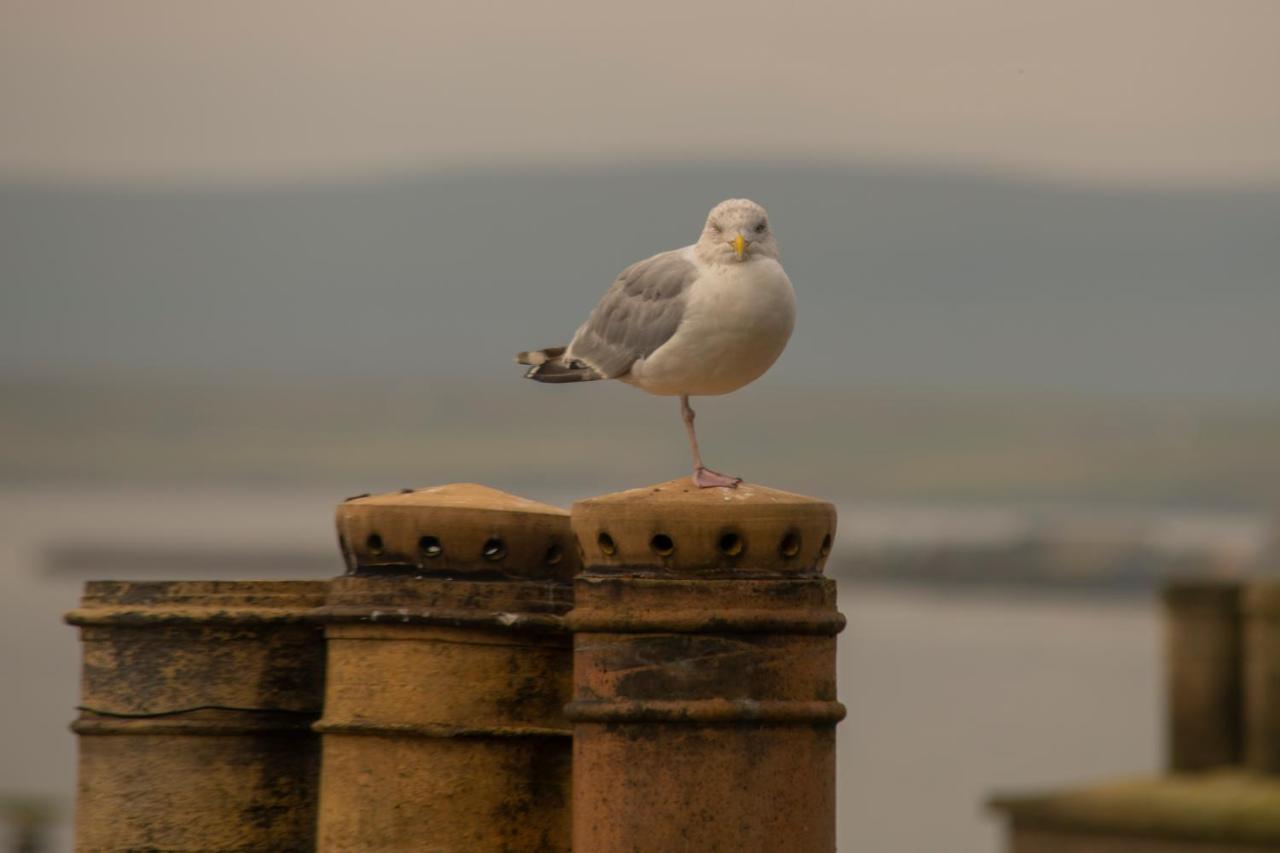 The Stromness Hotel 外观 照片